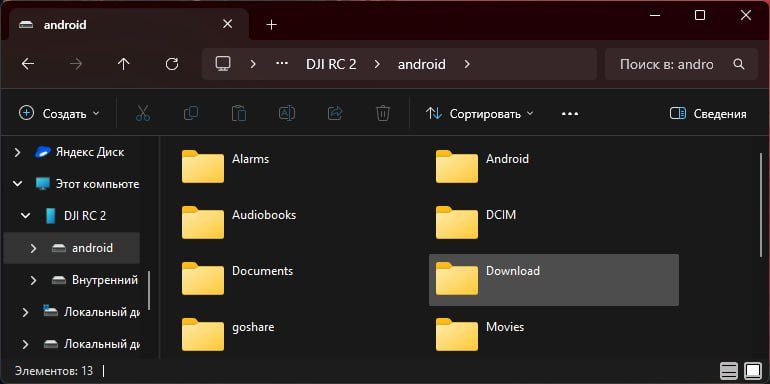 Папка android на пульте: список папок, выделена Download